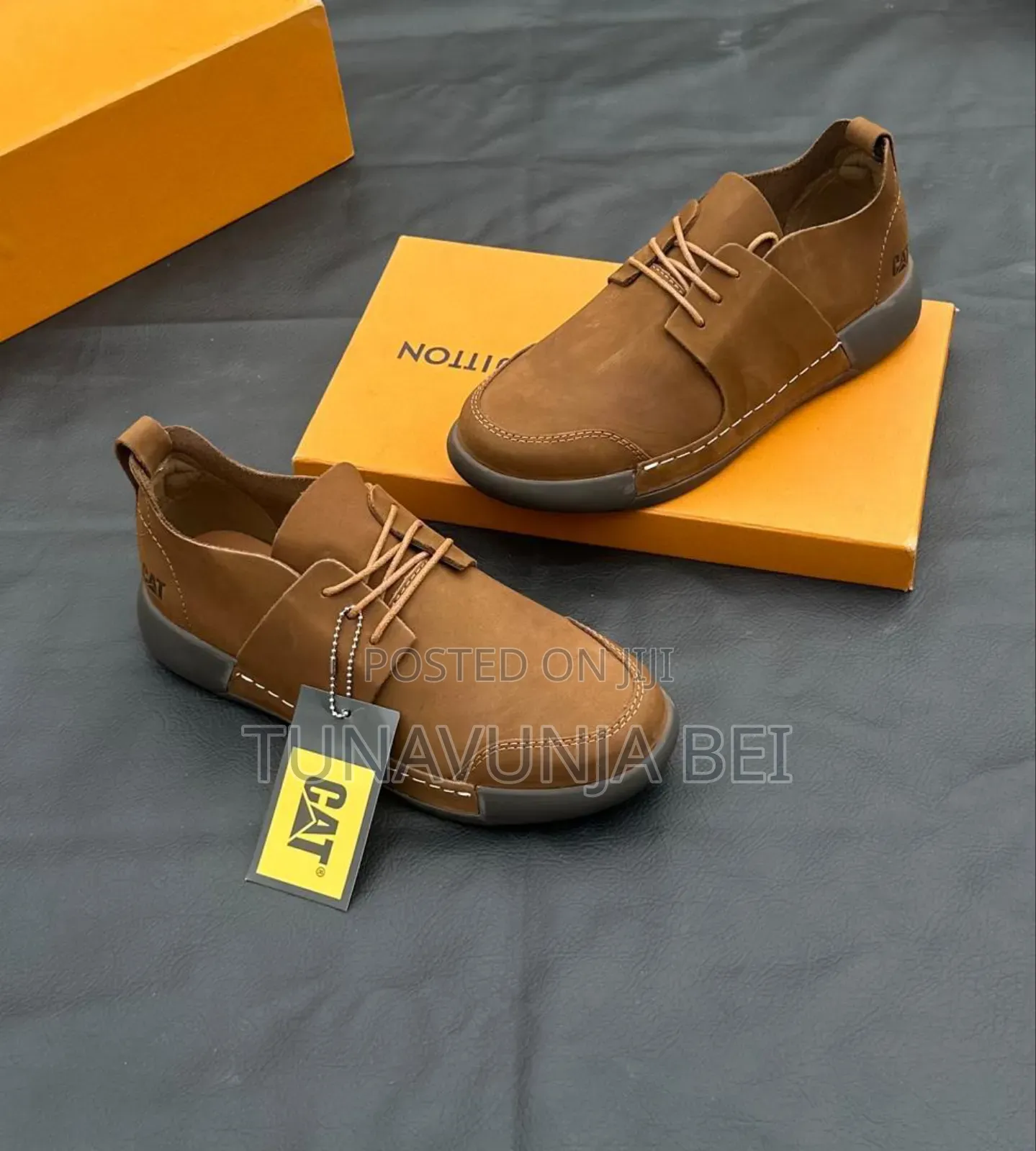 Cat Shoes Leather 