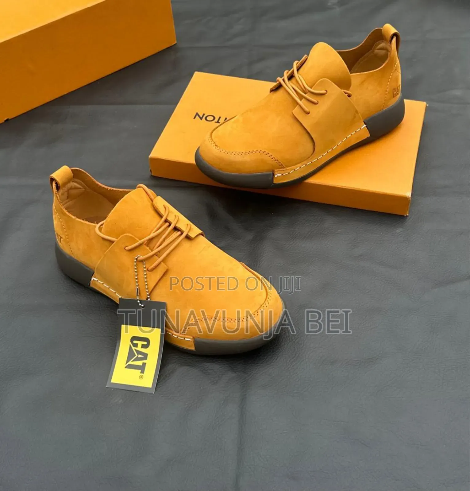 Cat Shoes Leather 
