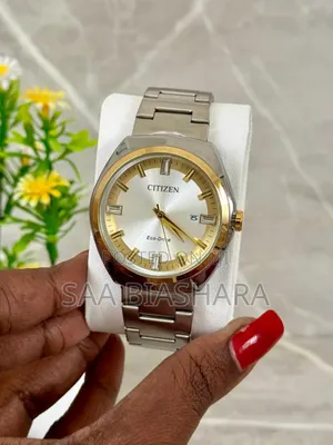 Citizen Eco Drive Watch Silver and Gold