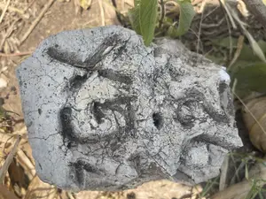 Shamba Lenye Hati Miliki Linauzwa Eka 16