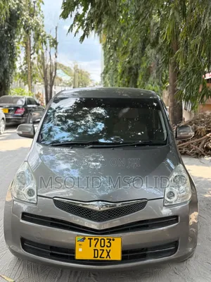 Toyota Ractis 2006 Gray