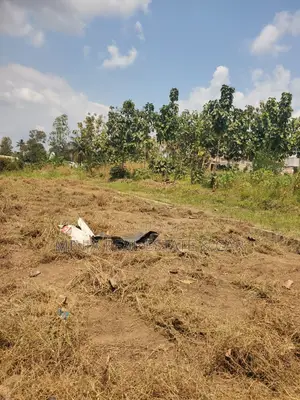 Kiwanja Kinauzwa Madale Mkoroshini
