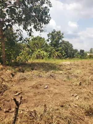 Kiwanja Kinauzwa Madale Mkoroshini