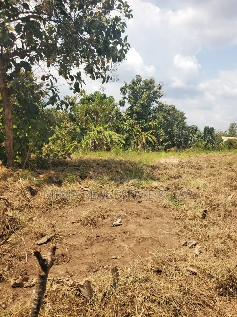 Kiwanja Kinauzwa Madale Mkoroshini