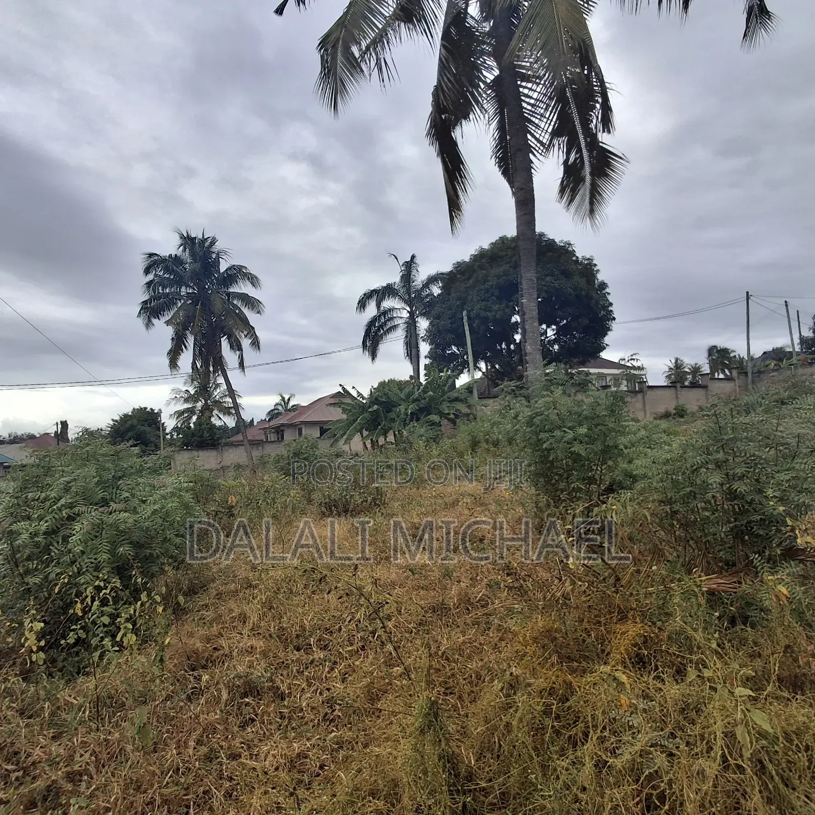 Plot for Sale Bunju Beach.
