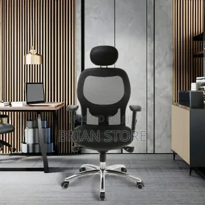 Ergonomic Office Chair