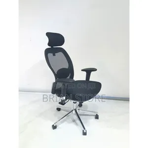 Ergonomic Office Chair