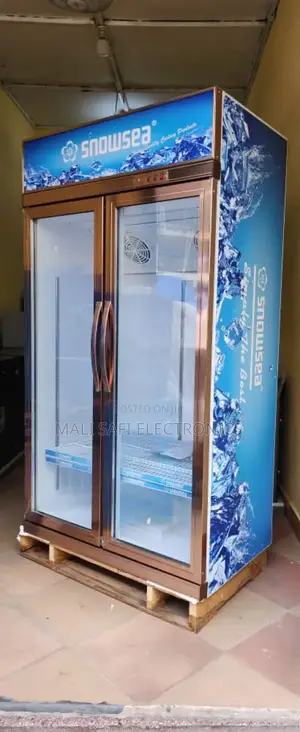 Sonwsea Show Case