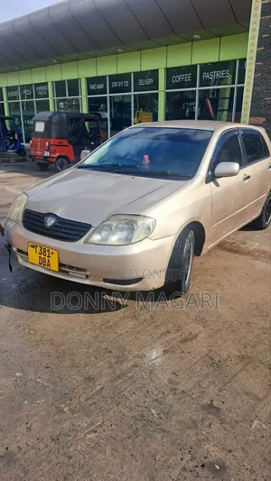 Toyota Corolla RunX 2006 Gold