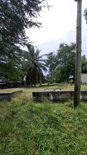 Plot 4 Dry Port or Factory Better