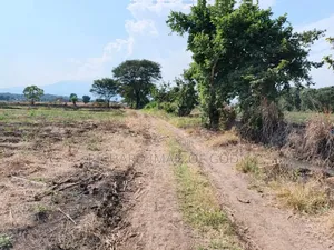 61 Hectare Farm for Sale in Usa River