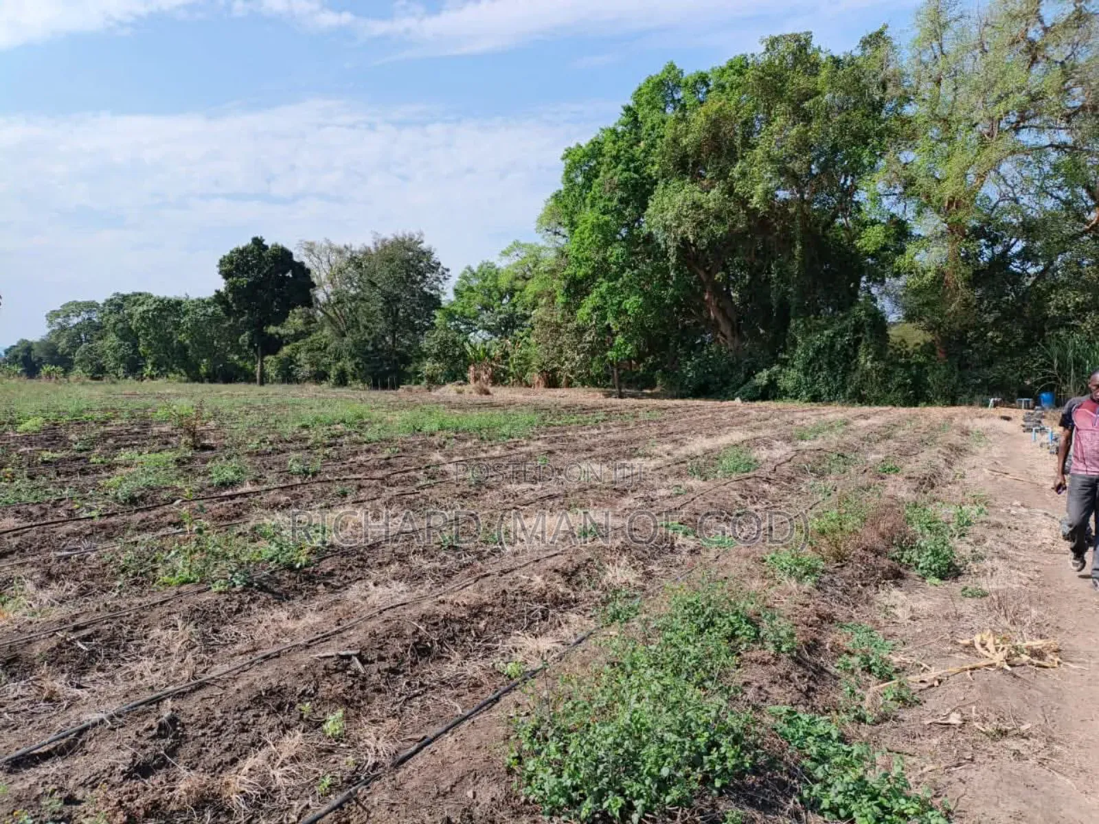 61 Hectare Farm for Sale in Usa River