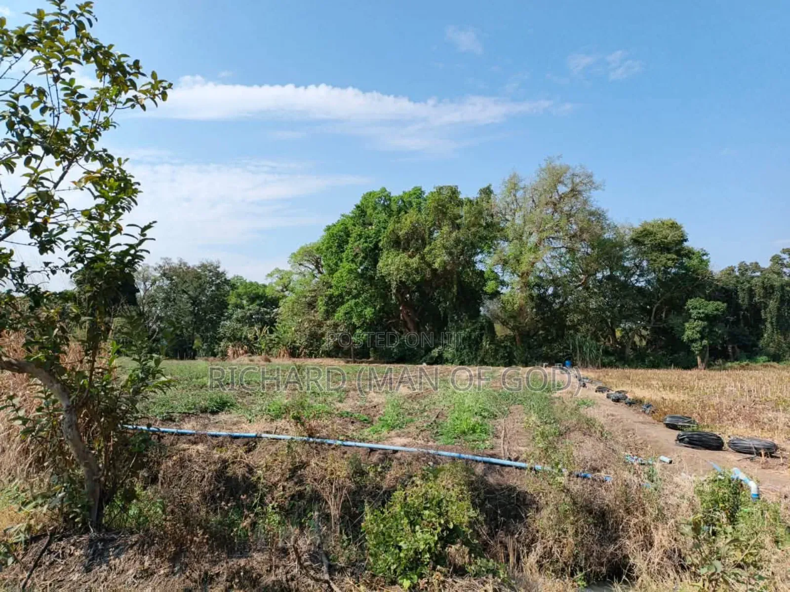 61 Hectare Farm for Sale in Usa River