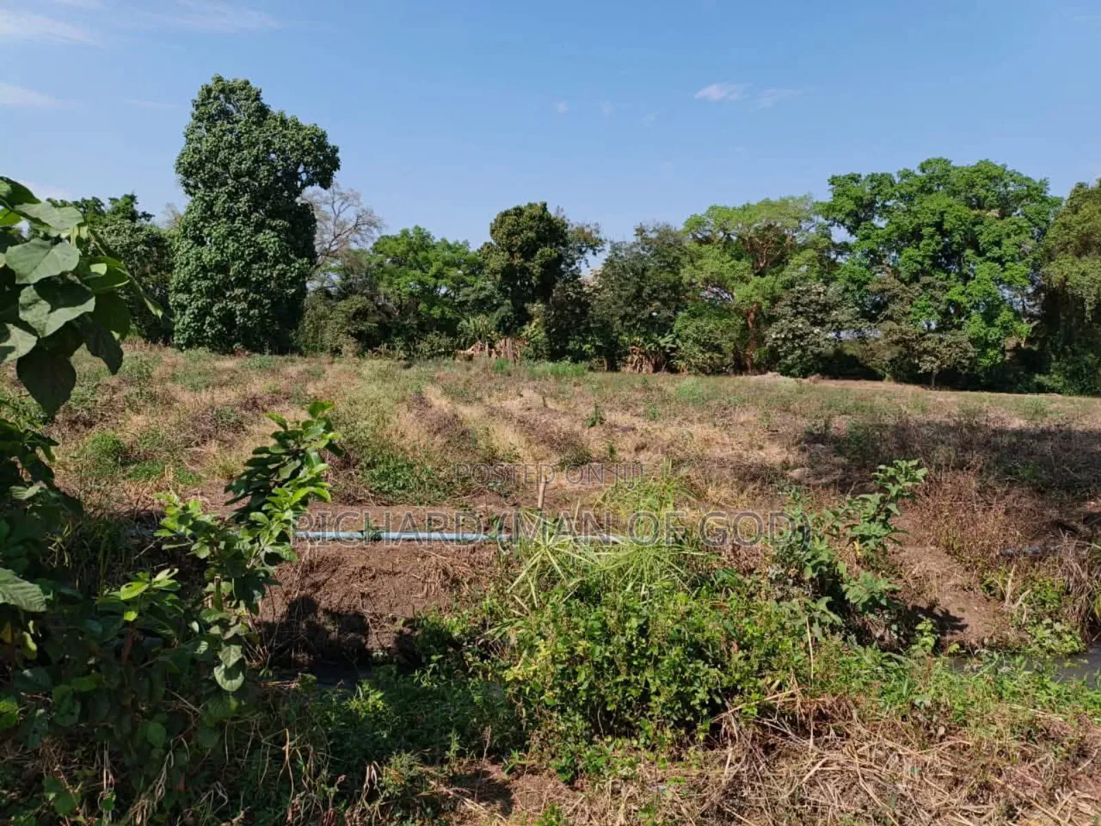 61 Hectare Farm for Sale in Usa River