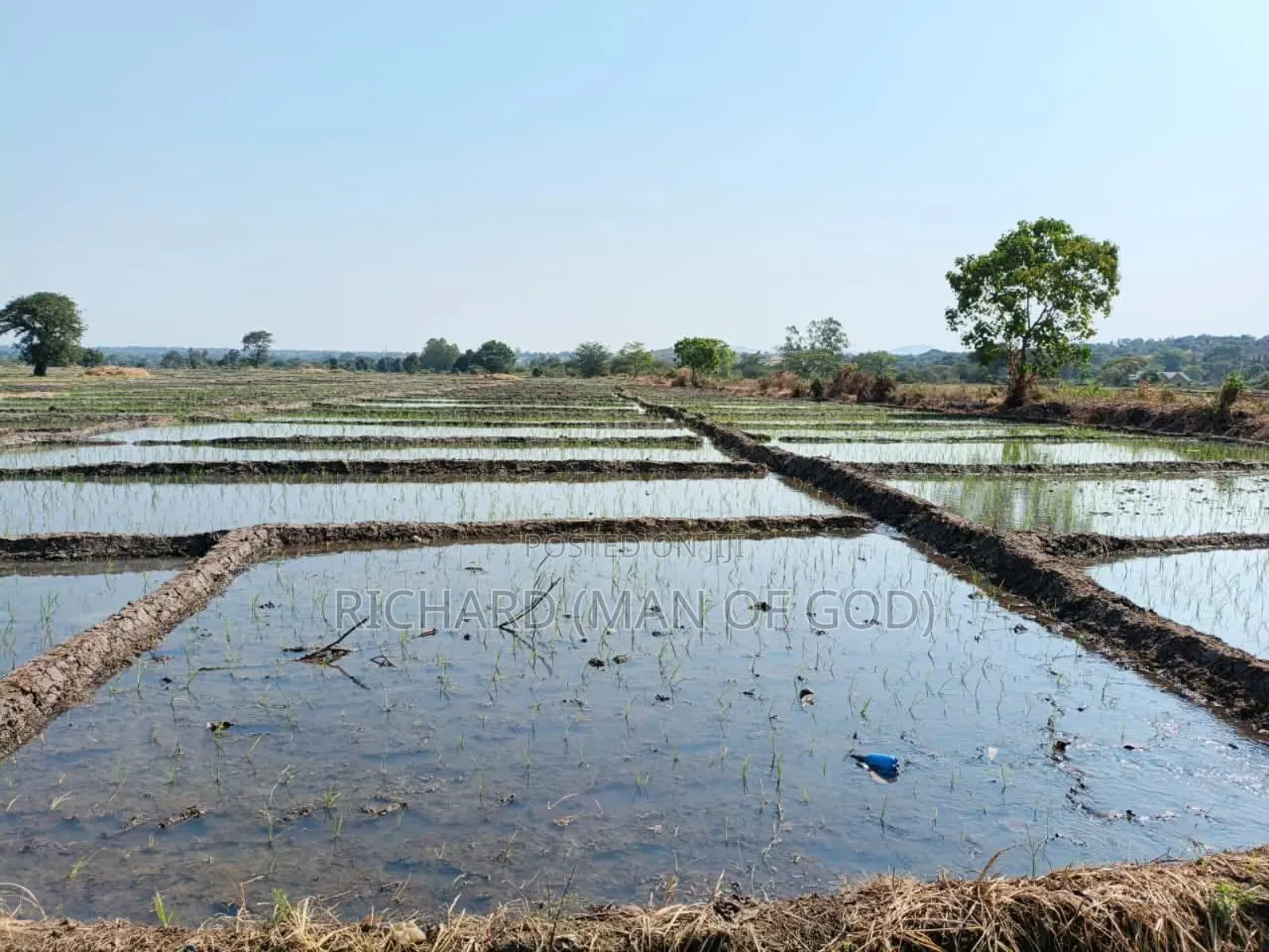 61 Hectare Farm for Sale in Usa River