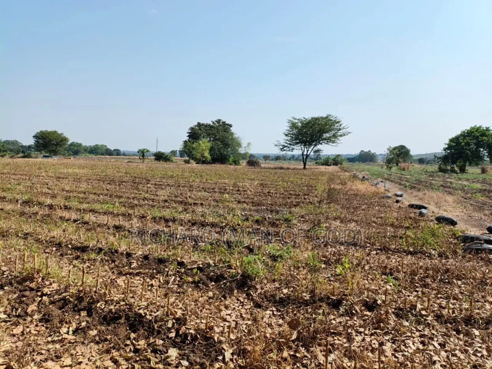 61 Hectare Farm for Sale in Usa River