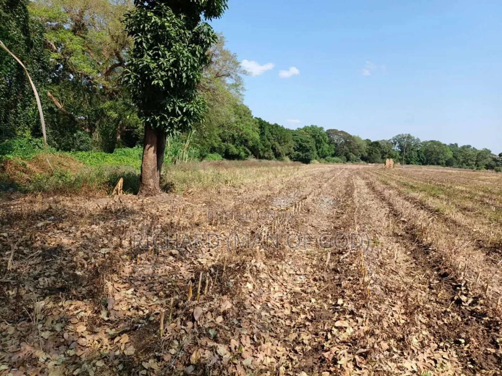 61 Hectare Farm for Sale in Usa River