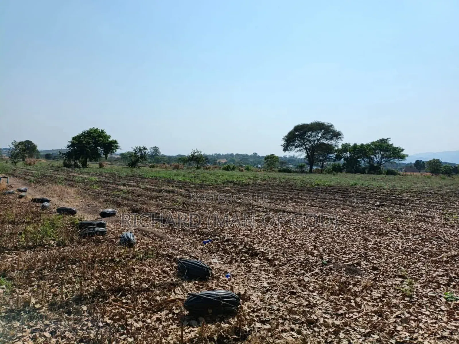 61 Hectare Farm for Sale in Usa River