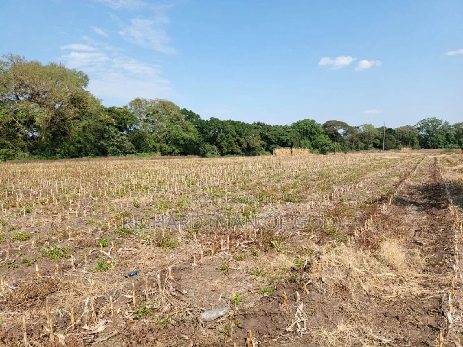 61 Hectare Farm for Sale in Usa River