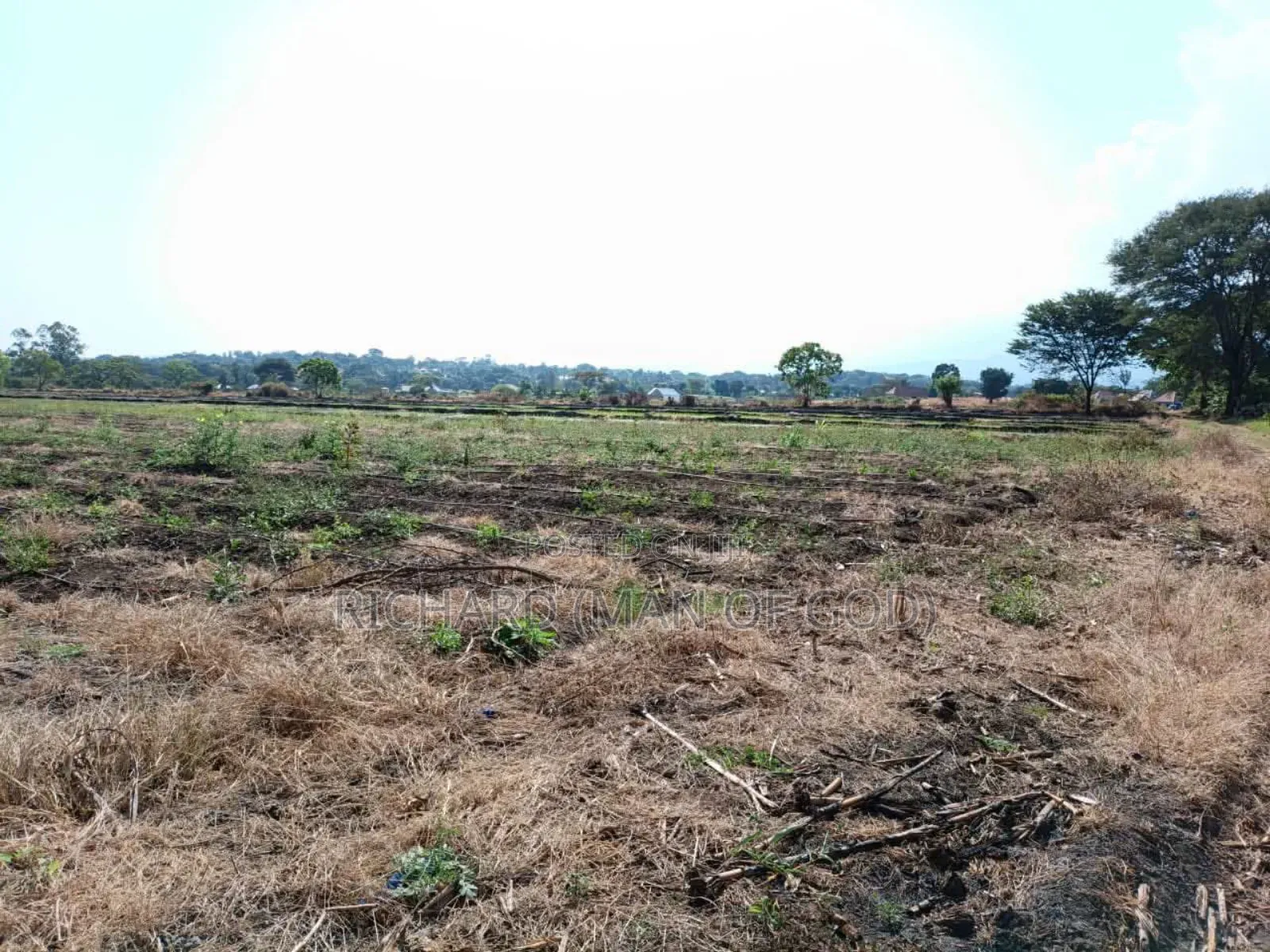 61 Hectare Farm for Sale in Usa River