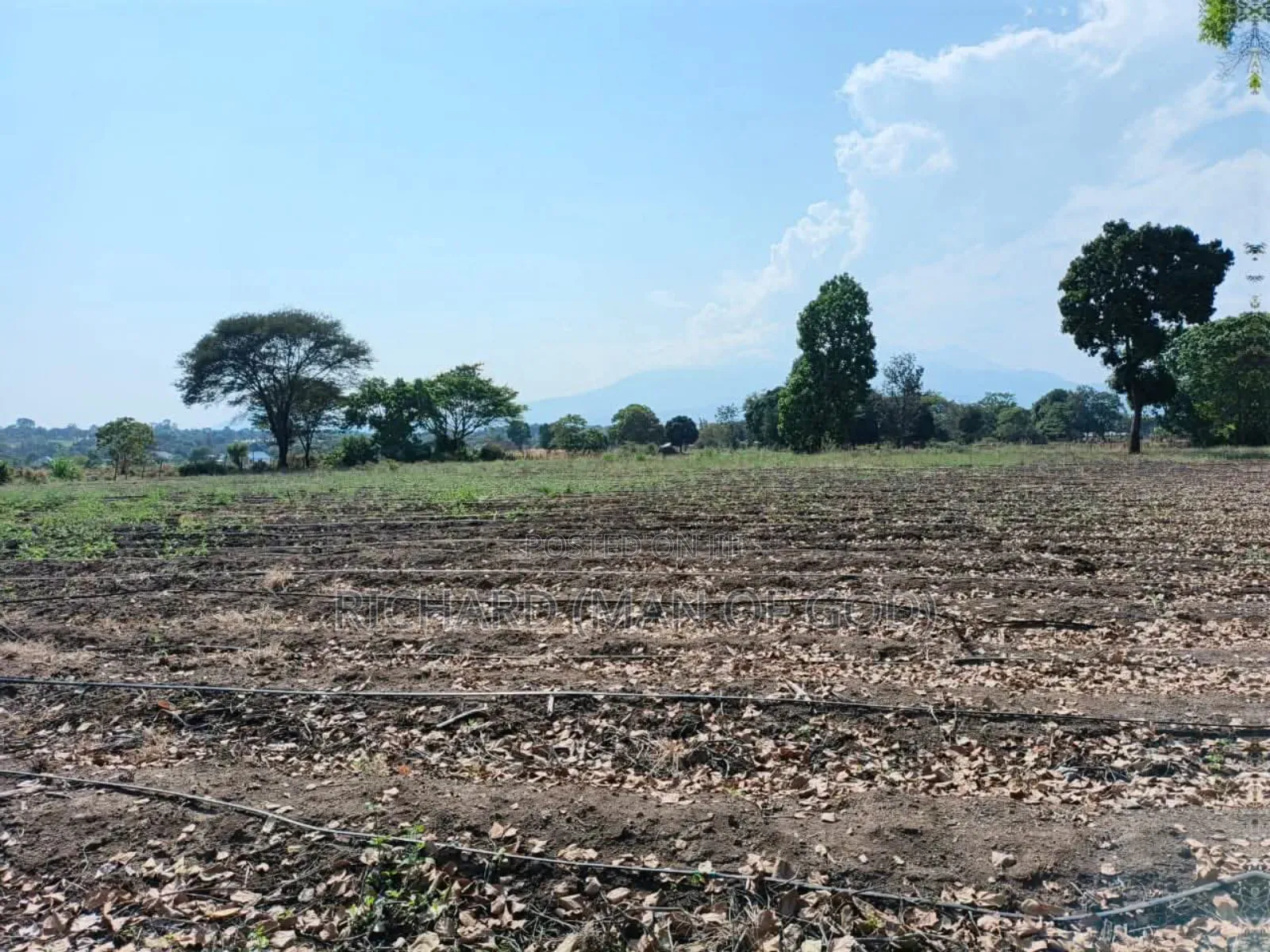 61 Hectare Farm for Sale in Usa River