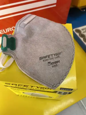 Kn95 Dust Masks