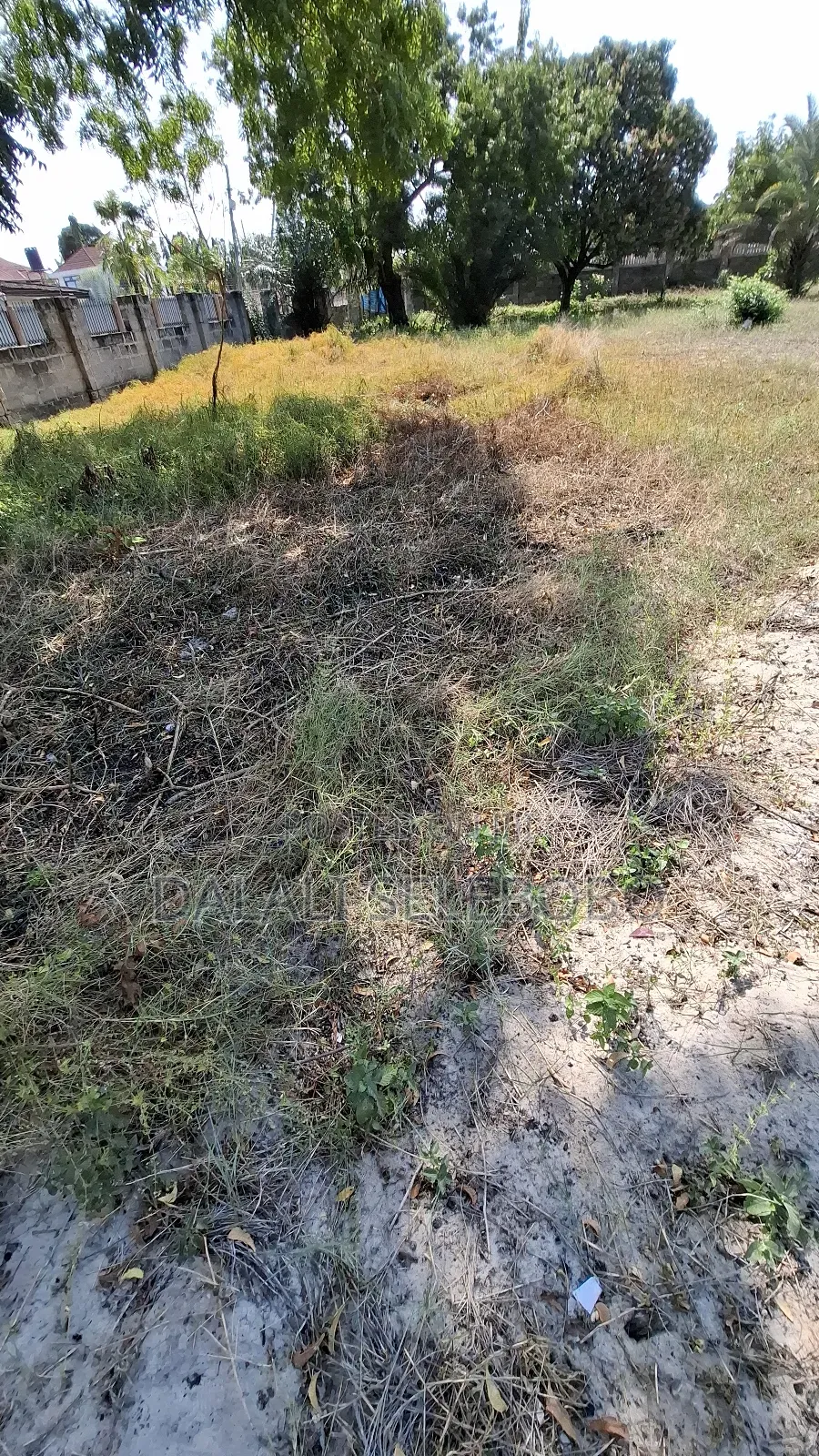 Beach Plot 1 at Bagamoyo Town Big Space