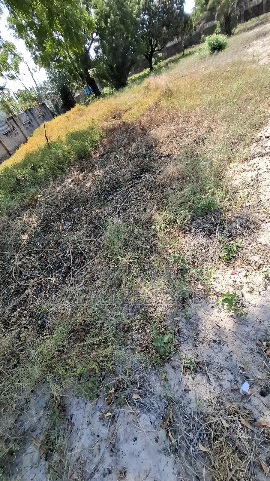 Beach Plot 1 at Bagamoyo Town Big Space