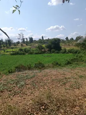 3 Acres for Sale Kiluvya Gogoni