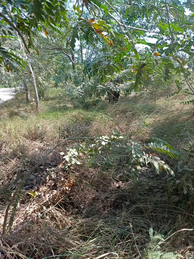 2 Acres for Sale Kibamba Mpakani