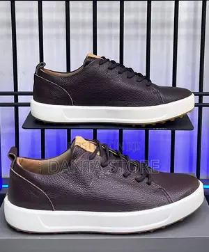 Ecco Leather Shoes