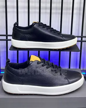 Ecco Leather Shoes