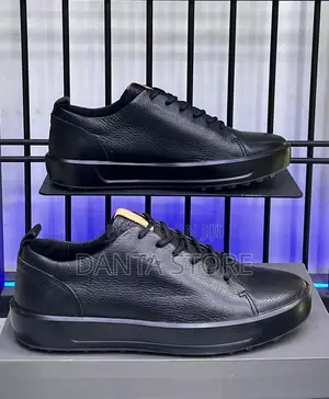 Ecco Leather Shoes