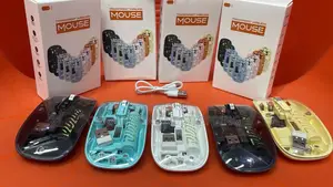 Wireless Transparent and Rechargeable Mouse