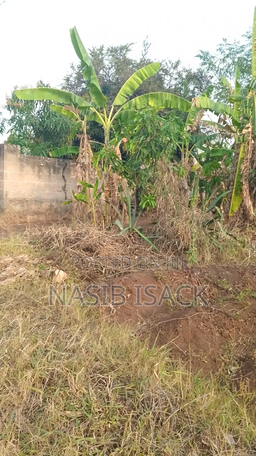 Plot for Sale Square 1200 Mwanza Kishiri