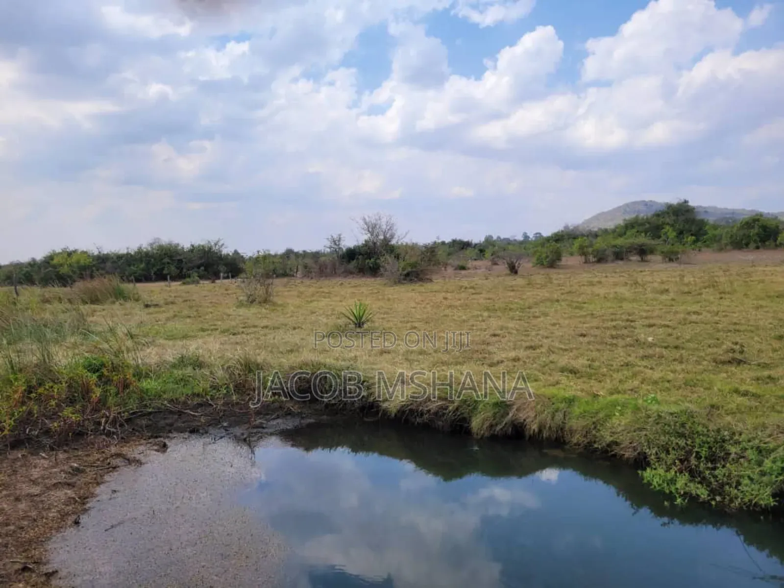 Shamba Linauzwa