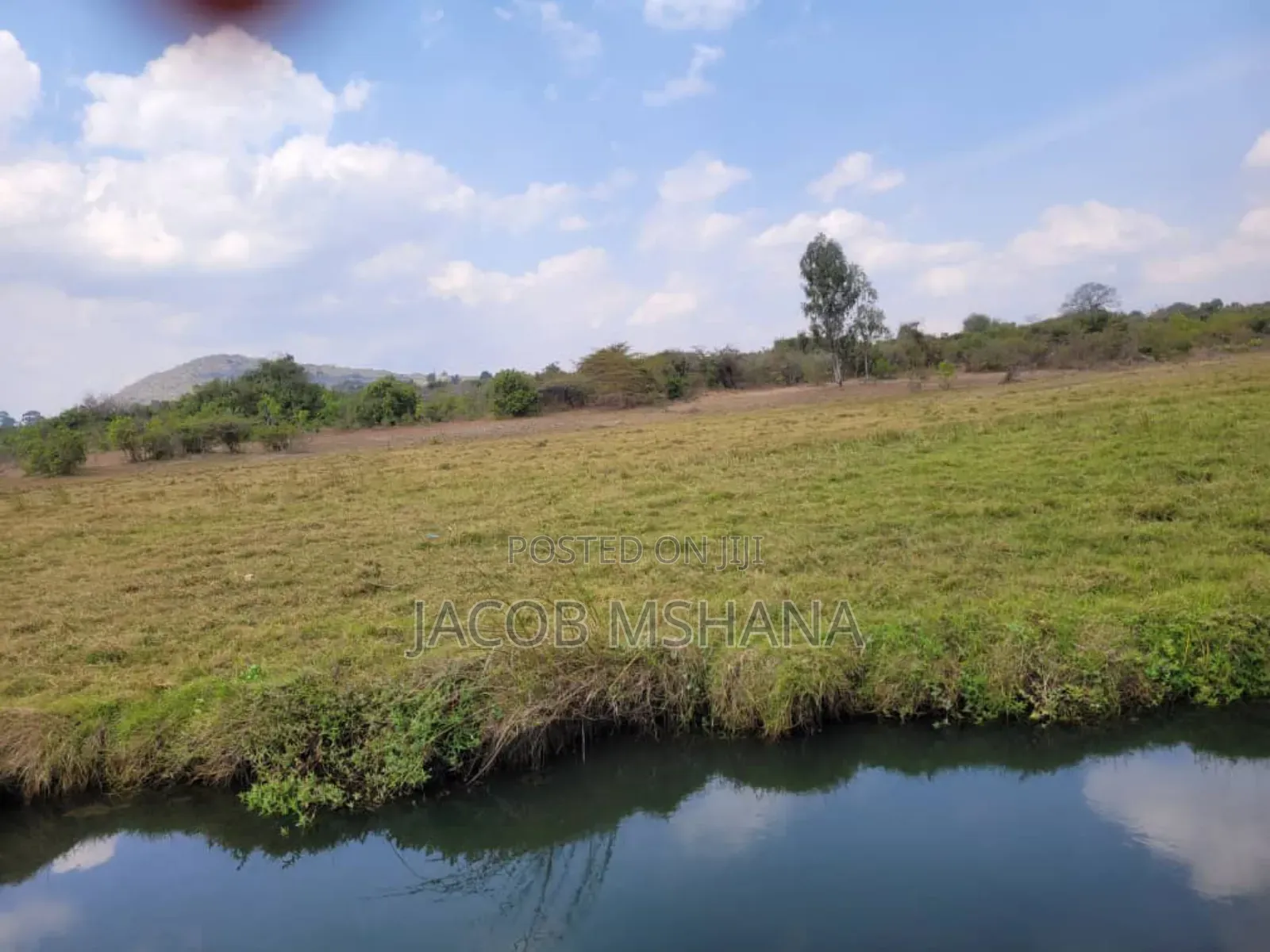 Shamba Linauzwa