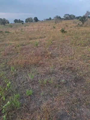 Eneo Linauzwa