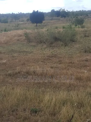 Eneo Linauzwa