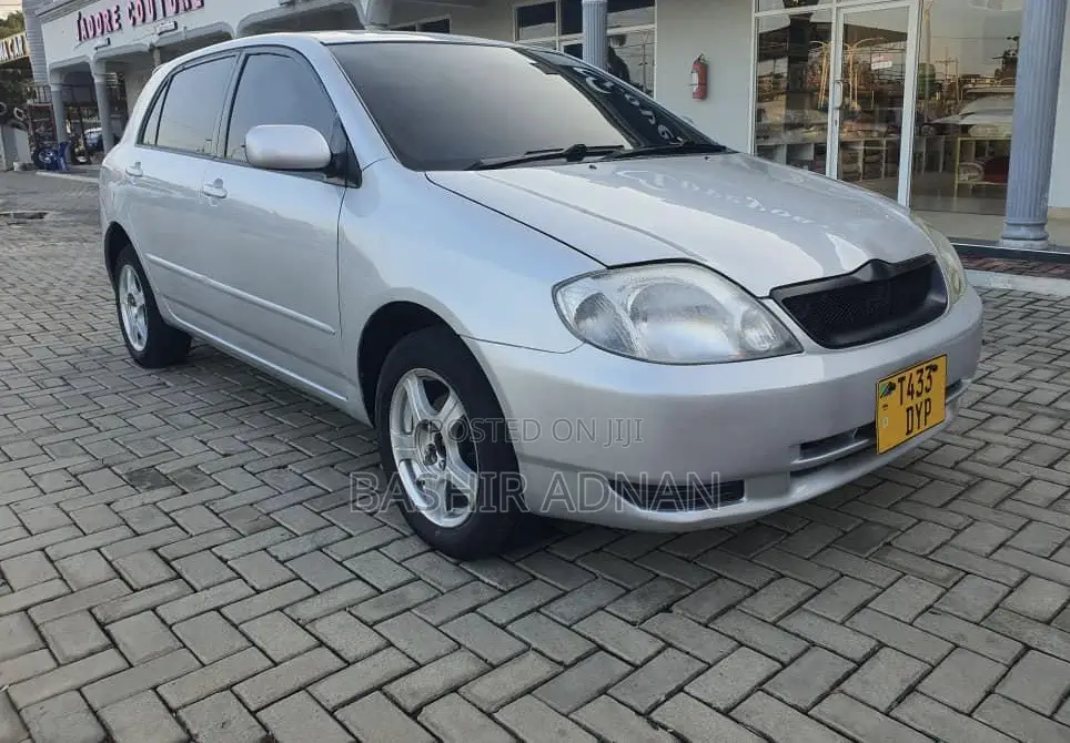 Toyota Corolla RunX 2004 Silver