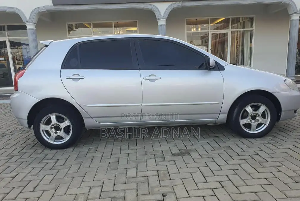 Toyota Corolla RunX 2004 Silver