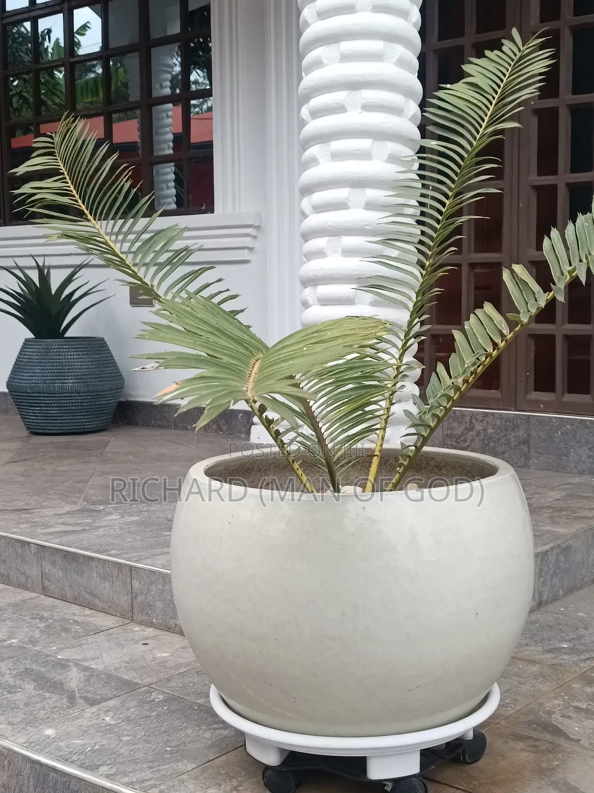 Furnished 3bdrm Mansion in Arusha for rent