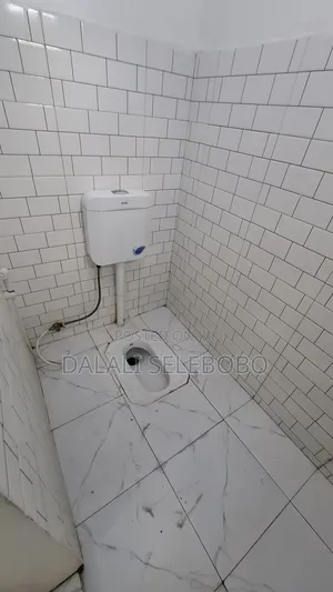 1bdrm Bedsitter in Sinza Lion for rent