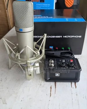 Studio Microphone Condenser U87