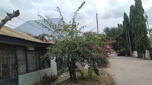 3bdrm House in Msasani for sale