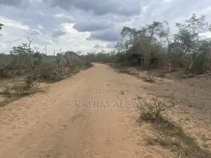 Shamba La Kulima Nanasi Linauzwa Mbwewe