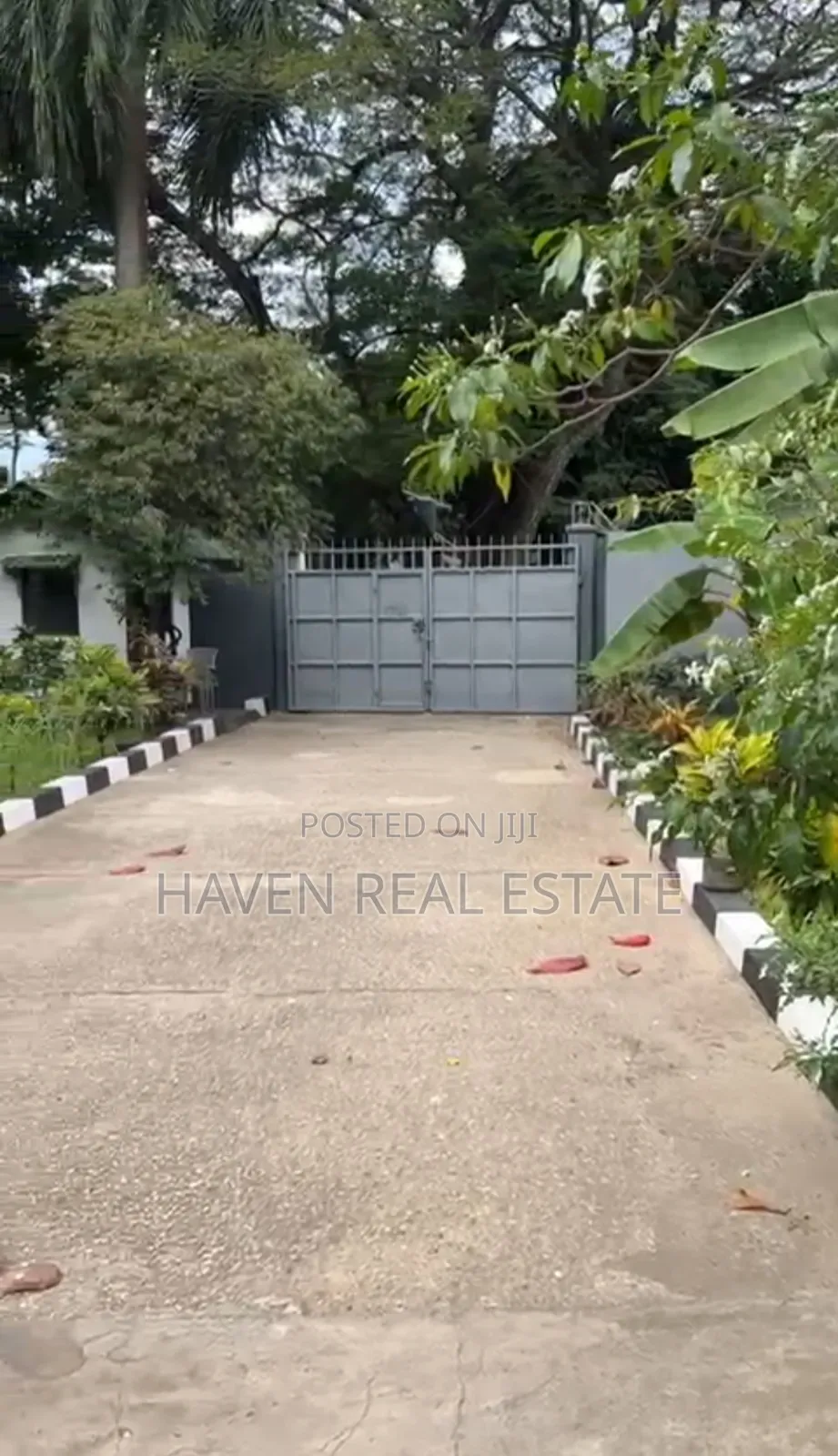 3bdrm House in Mikocheni for rent