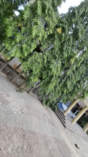 1bdrm Bedsitter in Mbezi Beach Makonde for rent
