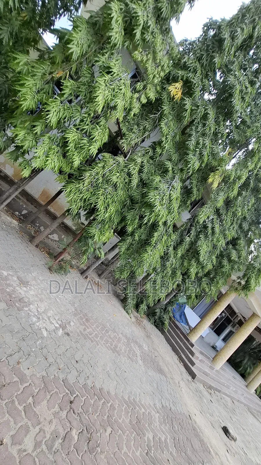 1bdrm Bedsitter in Mbezi Beach Makonde for rent