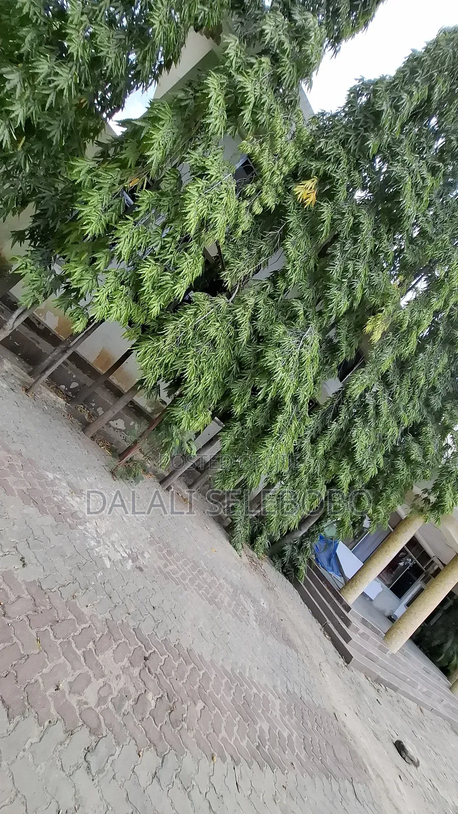 1bdrm Bedsitter in Mbezi Beach Makonde for rent